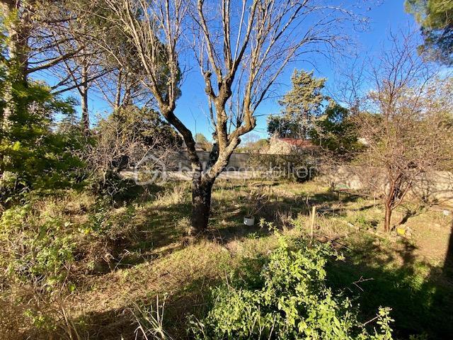 Villa - 260 m² - 7 pièces