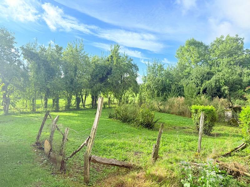 Maison - 500 m² - 12 pièces