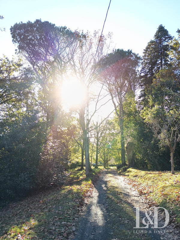 Maison ancienne - 420 m² - 12 pièces