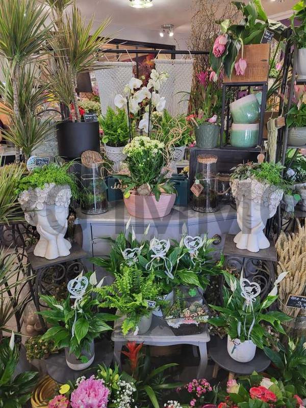 Fonds de commerce - Magasins - 50 m²