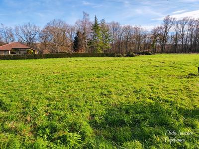 Terrain constructible - 7 732 m²