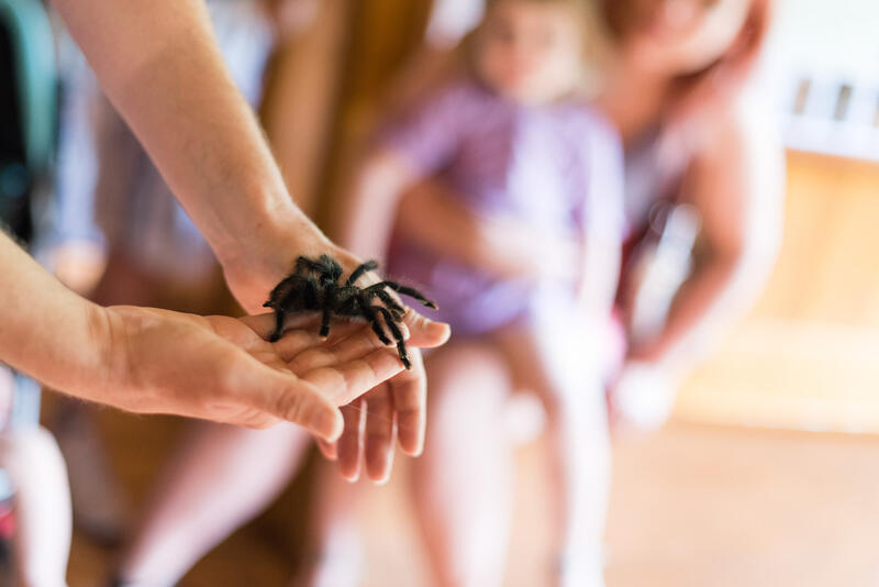Rencontre avec une petite bête