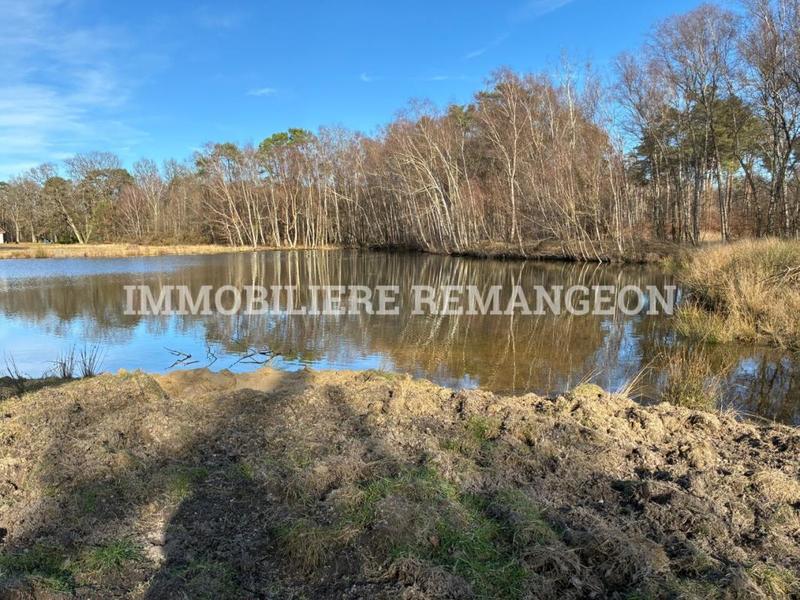 Demeure - 377 m² - 13 pièces