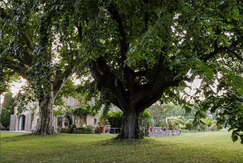 Mas - 460 m² - 14 pièces