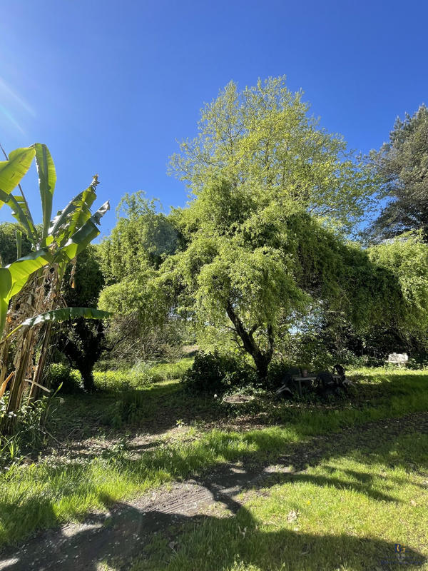 Maison - 190 m² - 7 pièces