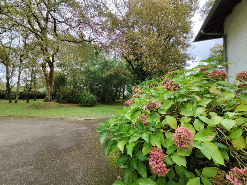 Maison - 258 m² - 8 pièces