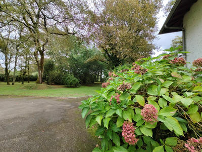 Maison - 258 m² - 8 pièces