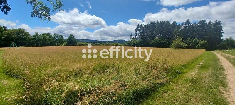 Terrain - 10 021 m²