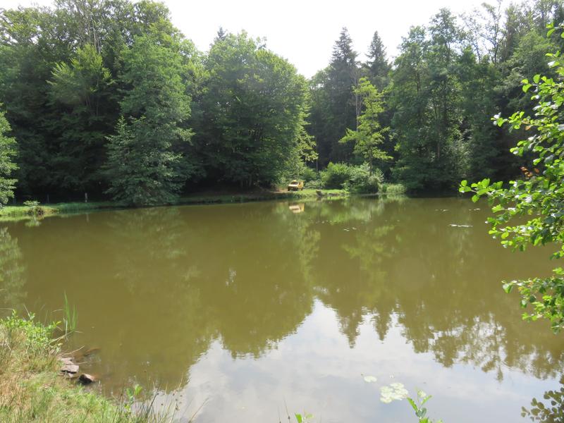 Terrain de loisirs - 4 560 m²