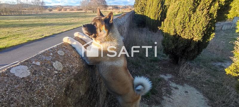 Maison - 363 m² - 12 pièces