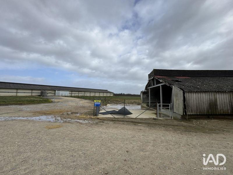 Local commercial - 2 250 m²