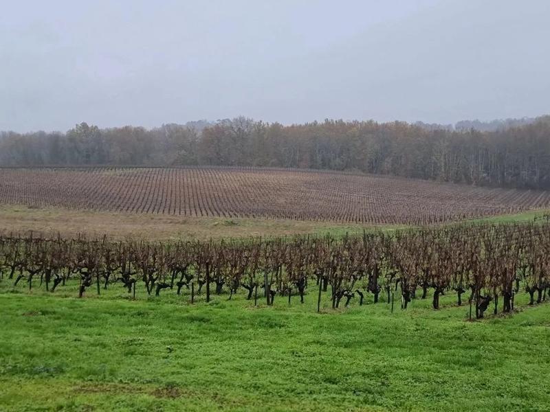 Maison - 220 m² - 7 pièces