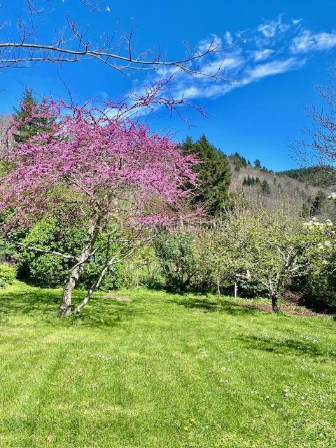 Maison de village - 105 m² - 4 pièces