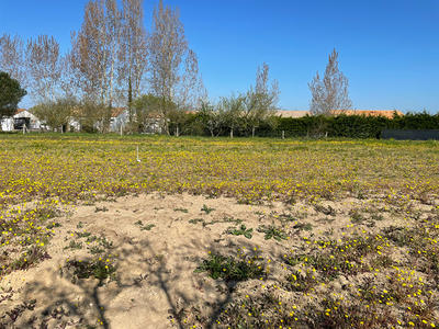 Terrain - 805 m²