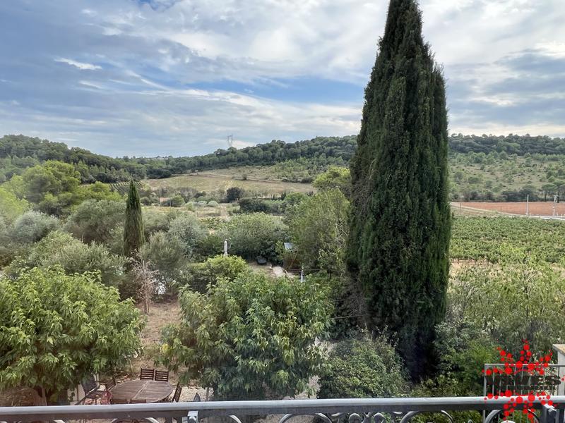 Propriété viticole - 405 m² - 15 pièces