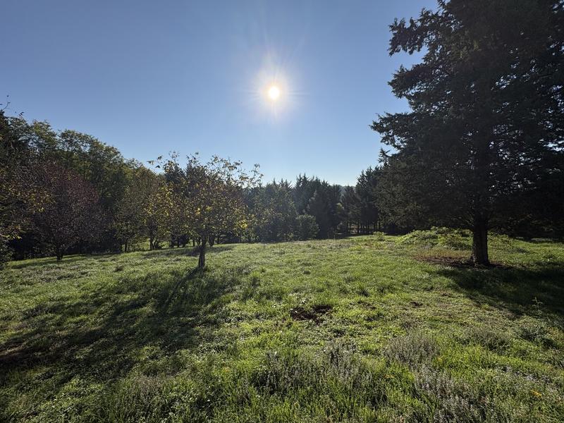 Maison - 234 m² - 5 pièces