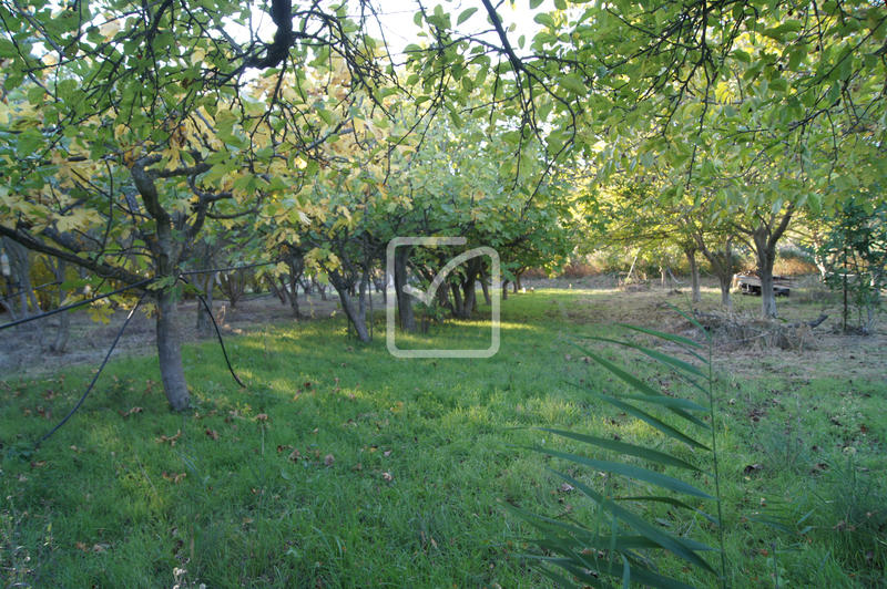 Terrain agricole - 5 359 m²