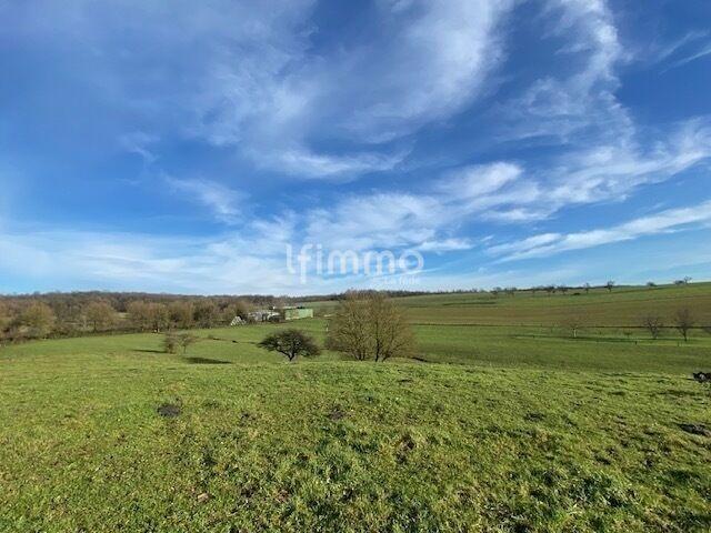 Terrain - 1 081 m²
