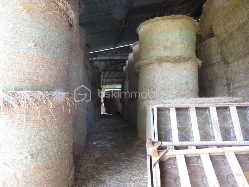 Corps de ferme - 161 m² - 7 pièces