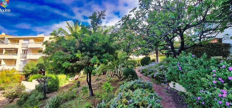 Appartement - 33 m² - 1 pièce