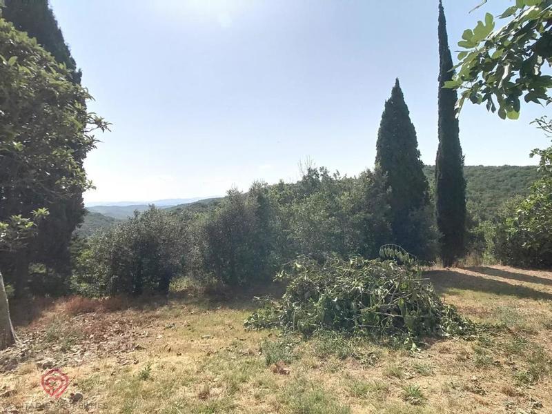 Propriété - 360 m² - 10 pièces