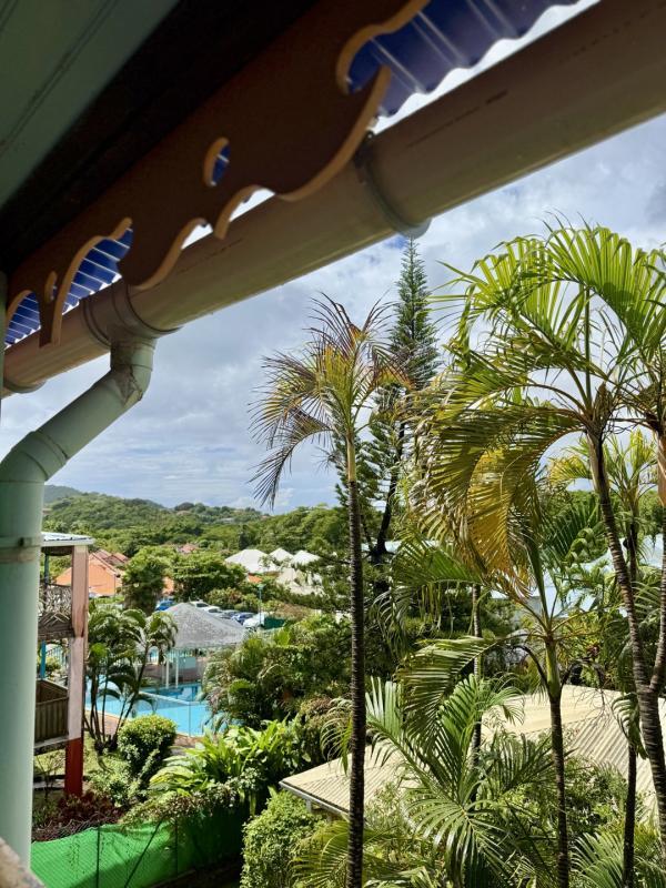 Studio - 30 m² - 1 pièce