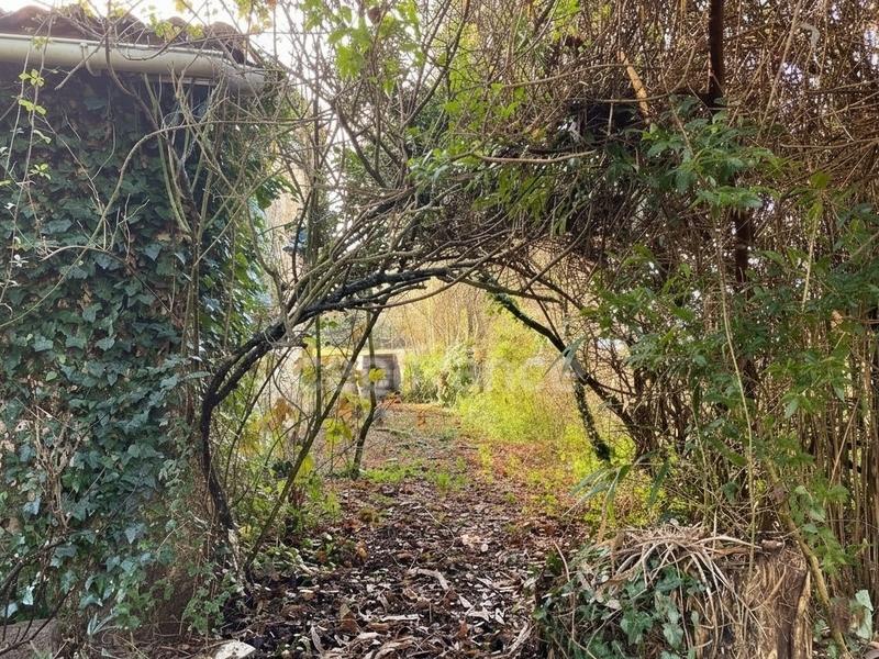 Maison de village - 100 m² - 4 pièces