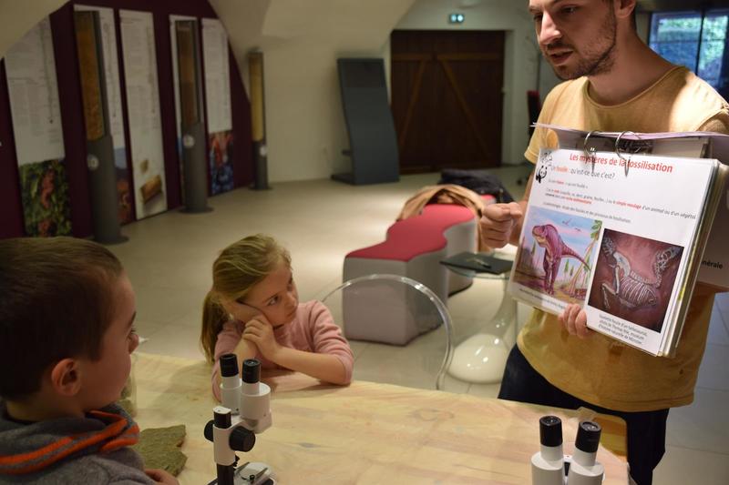 Atelier : les mystères de la fossilisation