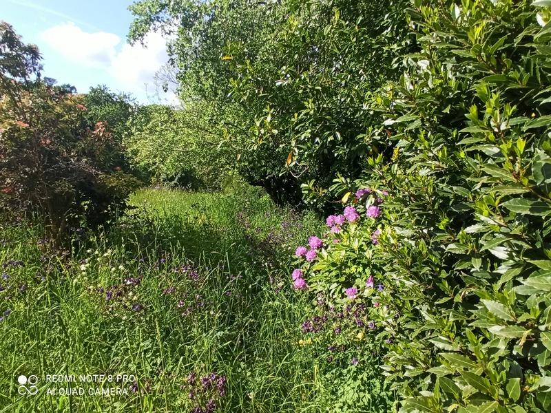 Maison en pierre - 80 m² - 3 pièces