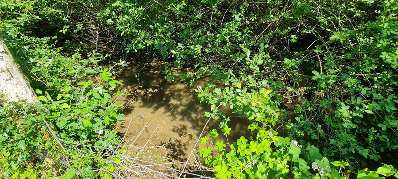 Maison - 100 m² - 6 pièces