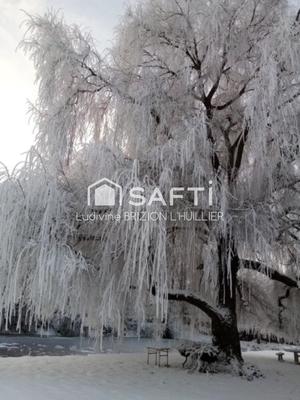 Maison de maîtres - 316 m² - 11 pièces