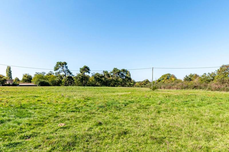 Maison de domaine équestre - 151 m² - 6 pièces