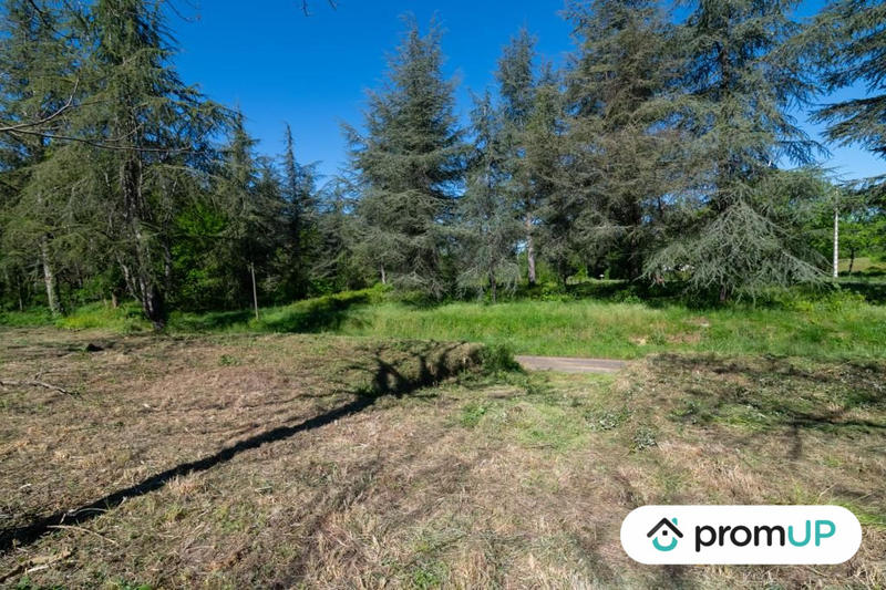 Terrain - 10 000 m²