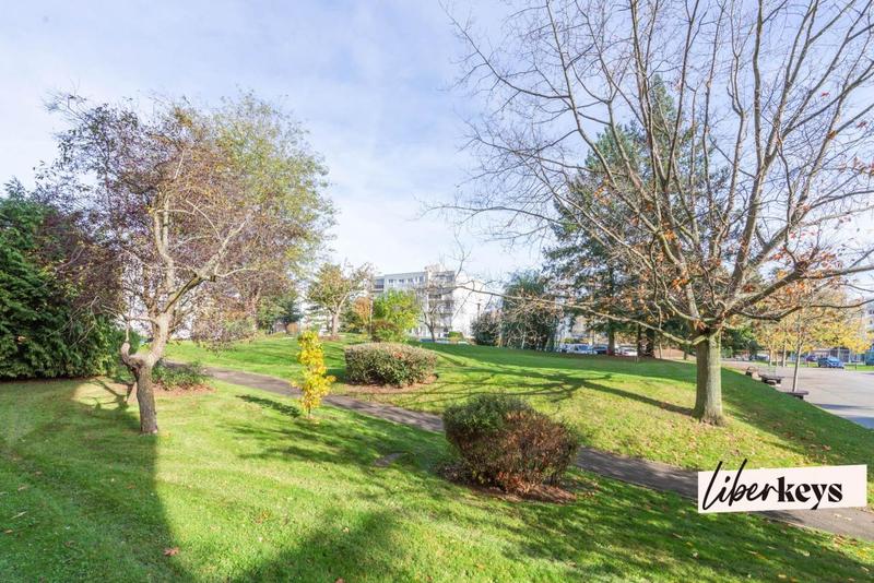 Studio - 31 m² - 1 pièce