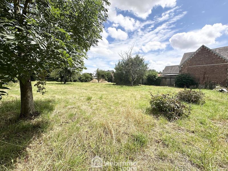 Terrain - 1 298 m²