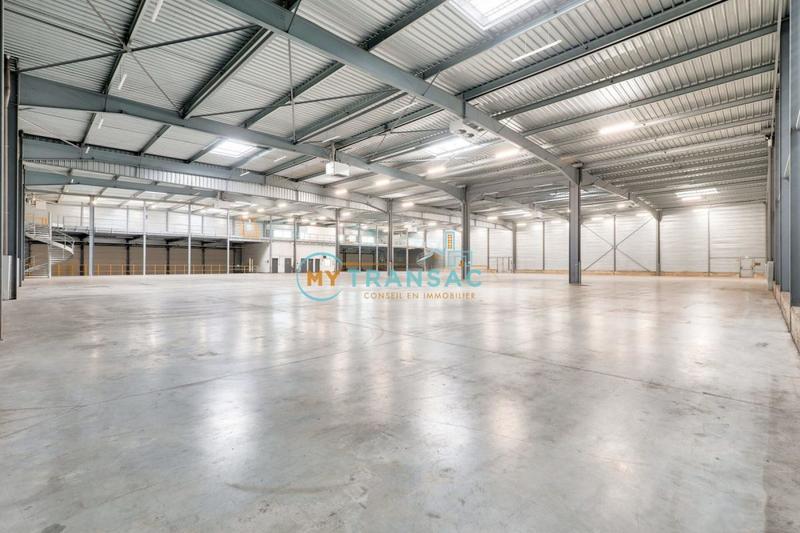 Local d'activité / Entrepôt - 3 668 m²