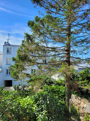 Appartement - 18 m² - 1 pièce