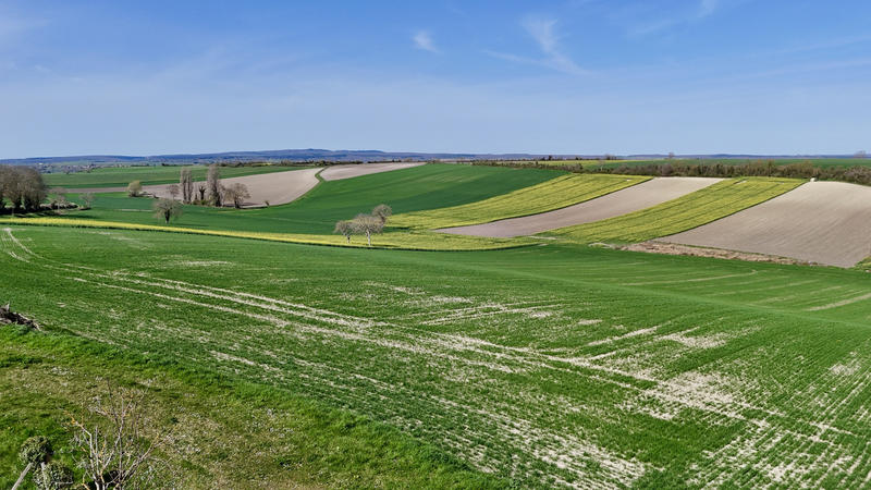 Maison - 410 m² - 9 pièces