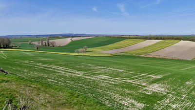 Maison - 410 m² - 9 pièces