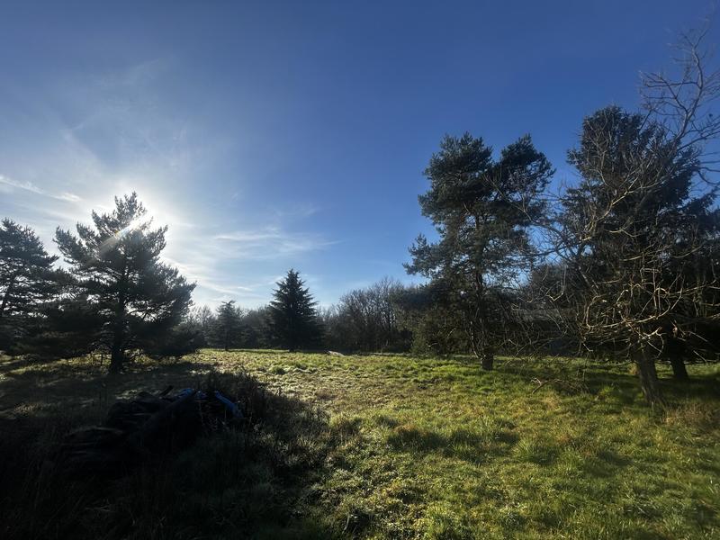 Maison traditionnelle - 134 m² - 6 pièces