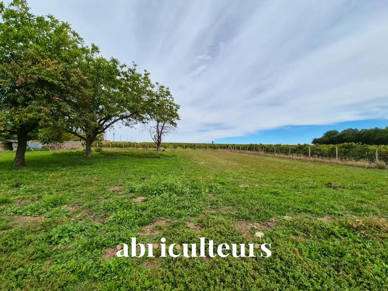 Maison - 230 m² - 6 pièces