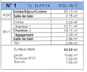 Loft - 60 m² - 3 pièces