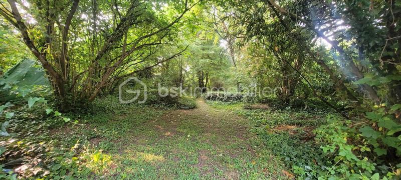 Maison en pierre - 143 m² - 5 pièces