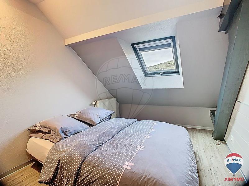 Maison - 240 m² - 9 pièces