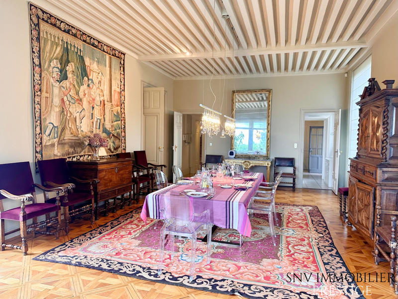 Château - 876 m² - 18 pièces