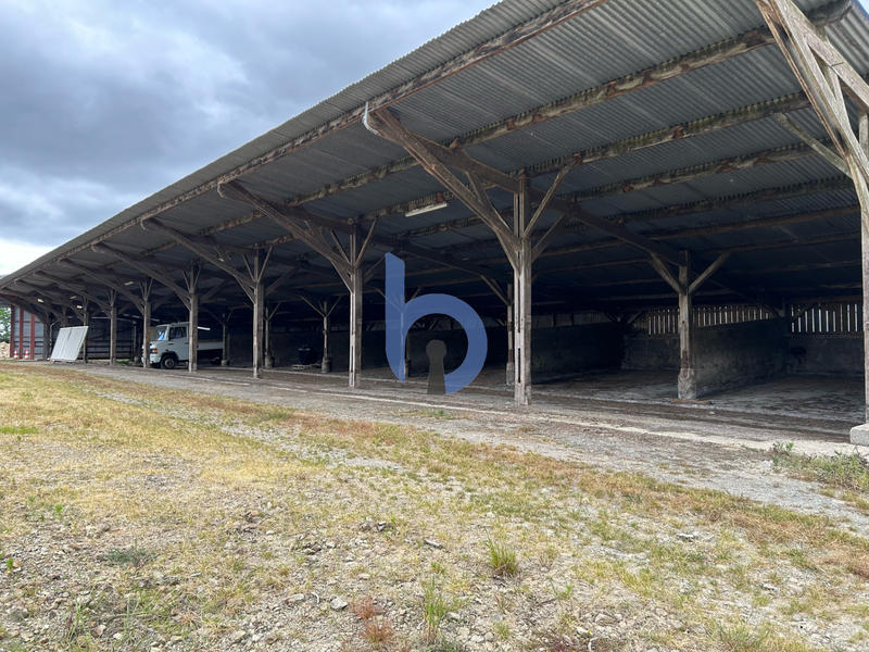 Terrain agricole - 10 000 m²