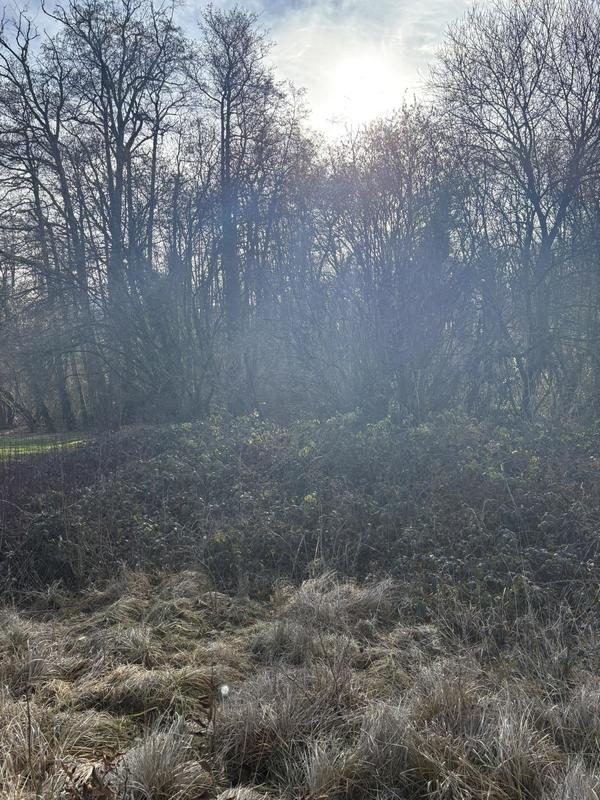 Terrain constructible - 968 m²