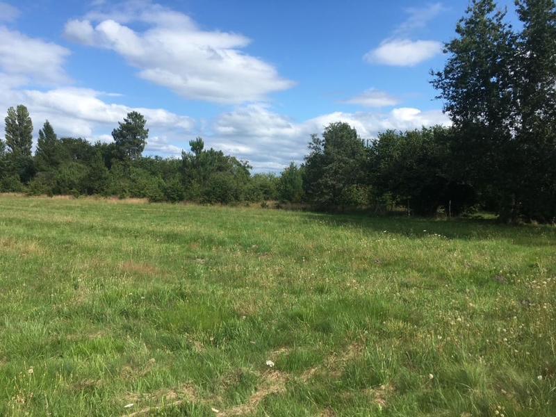 Terrain constructible - 1 500 m²