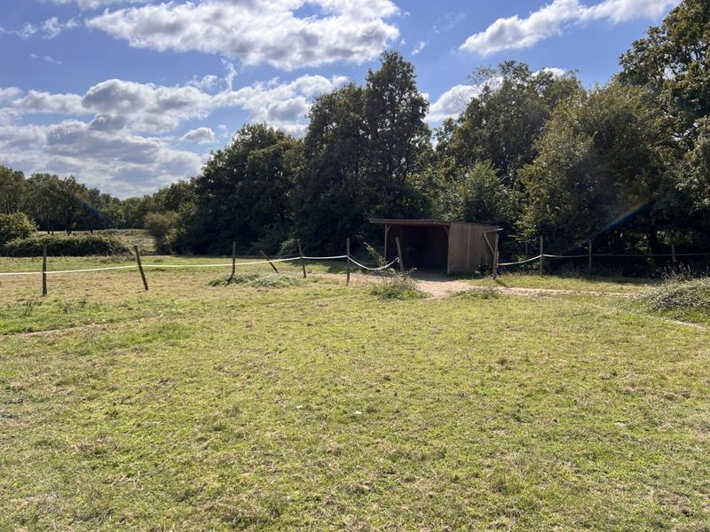 Maison - 70 m² - 4 pièces