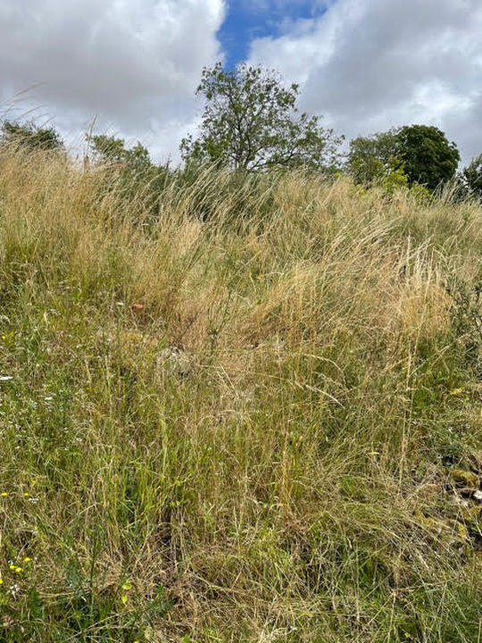 Longère - 70 m² - 3 pièces